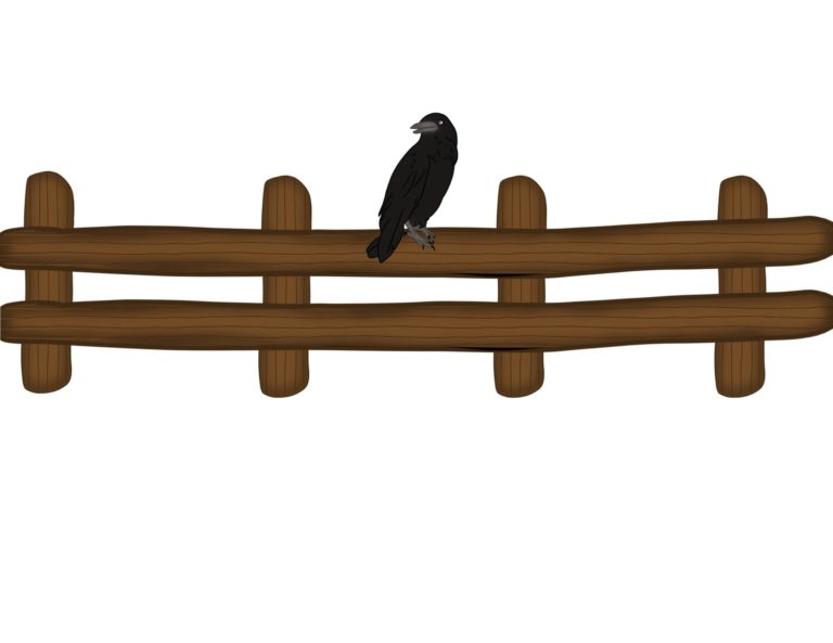 Little Crow