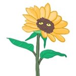 Sunflower Suzie