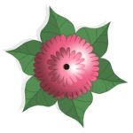 Summer Flower
