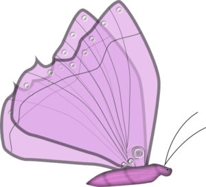 Spring Butterfly