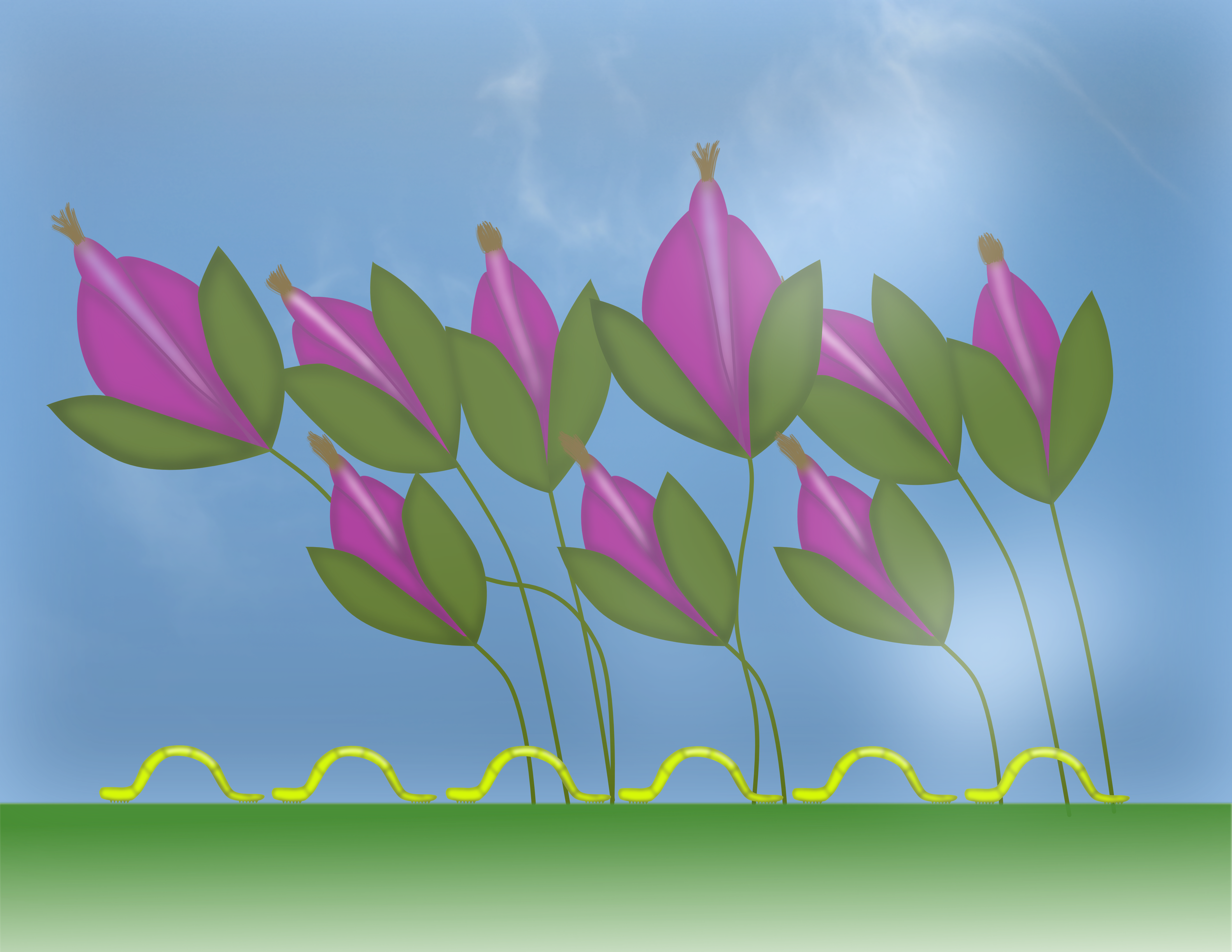 March of the Inchworms