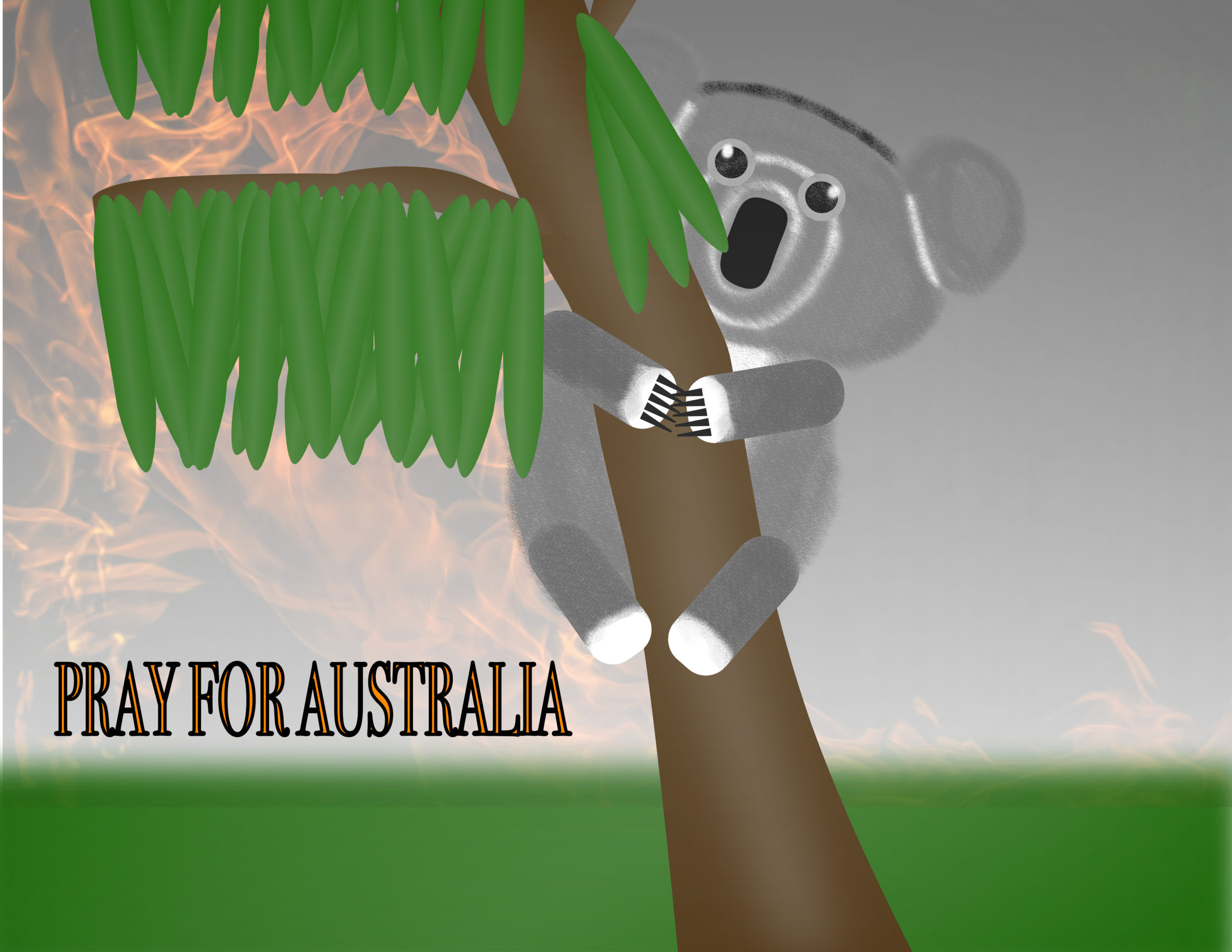 koala fire scene