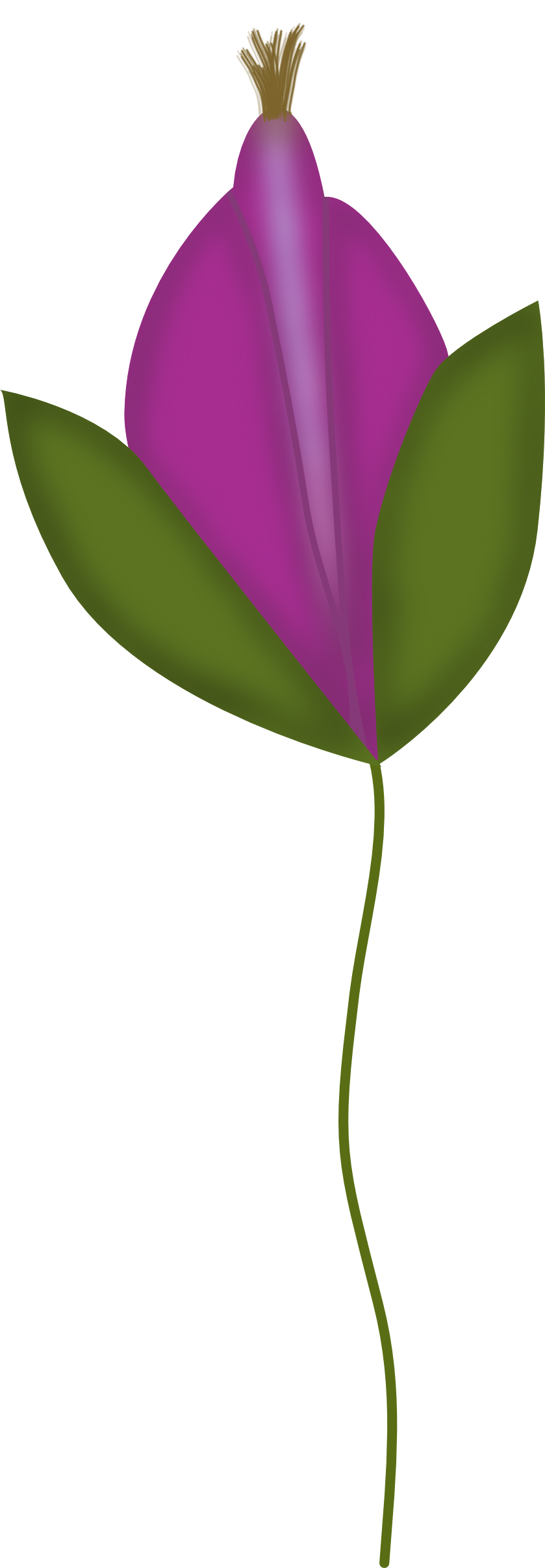 purple flower